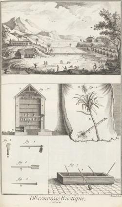 Images de l’habitation-sucrerie aux Antilles françaises du XVII<sup>e</sup> au XIX<sup>e</sup> siècle