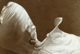 Exposition « Corsp en mouvement » à la Petite Galerie du Louvre