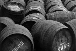 Vins