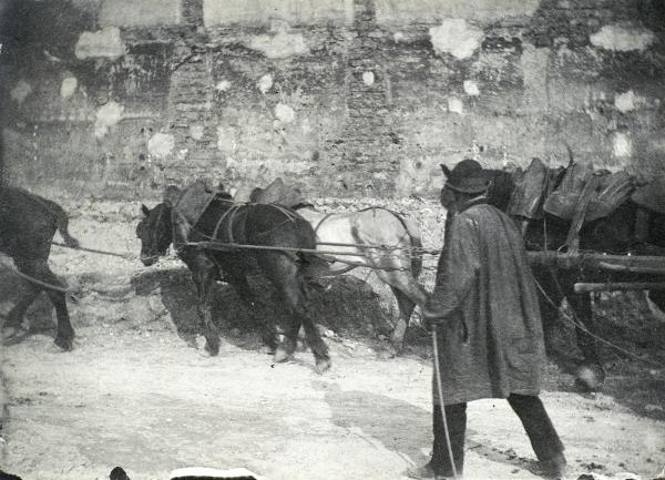 Chevaux de haquet au port de Bercy