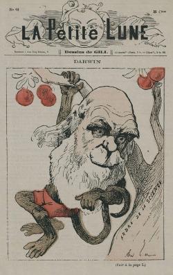 Caricature d'un homme barbu en singe accroché à un arbre