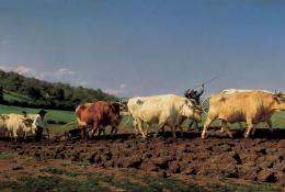 Les courants artistiques : le naturalisme