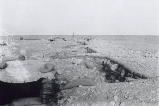 Vue de la tranchée jusqu'a l'emplacement du canon de 75